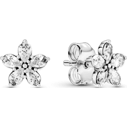 Pendientes Pandora 299239C01