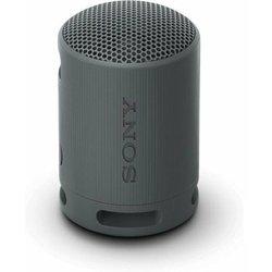 Altavoz Sony SRSXB100B