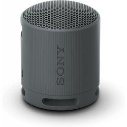 Altavoz Sony SRSXB100B