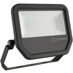 Osram - Proyector exterior Led Floodlight 50W 6500°K IP65 (Ledvance 4058075421301)