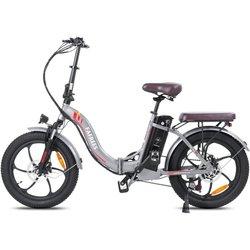 Bicicleta Eléctrica FAFREES F20 Pro 250W 648Wh Autonomía de 80 km Frenos de Disco Gris