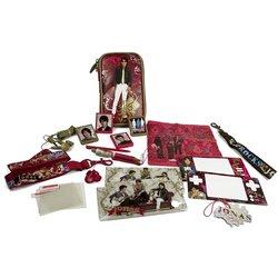 Jonas Brothers Accessory Kit (DSi, DS Lite) [Importación inglesa]