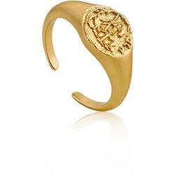 Anillo Mujer ANIA HAIE R009-03G (13)