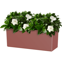 Jardinera auto riego de polipropileno rimini rojo 51x20 cm