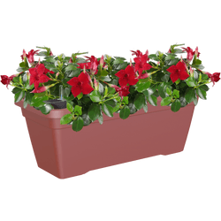 Jardinera auto riego de polipropileno venezia rojo 57.9x24,3x22 cm