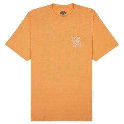 Camiseta dickies creswell papaya hombre