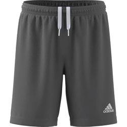 Pantalón corto para niños adidas Entrada 22