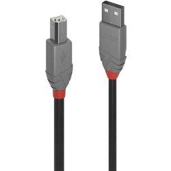 Cable USB LINDY (USB - USB)