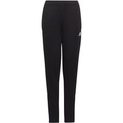 Pantalón chandal adidas  ENT22 TR PNT Y