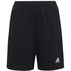 Pantalones de fútbol adidas ent22 try infantil