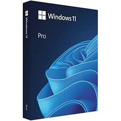 Windows pro 11 32/64bit esp usb