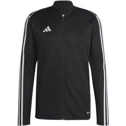 Chaqueta deporte adidas  TIRO23 L TR JKT