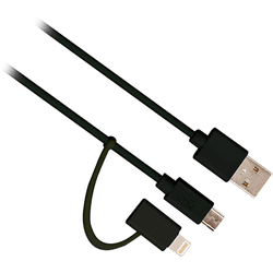 Cable EWENT Ew9909