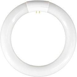 Tubo Fluorescente Circular T9 G10Q 22W 1300lm 6400K 7hSevenOn