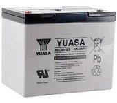 Batería Yuasa REC80-12 80Ah 12V