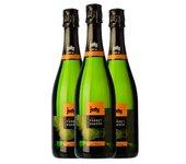 Ferret Guasch Brut Nature Cava Reserva 75 Cl 11.5% Vol. (pack De 3 Unidades)