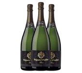 Espumante SEGURA VIUDAS Segura Viudas Brut Cava Reserva (1.5 L - 3 unidades)