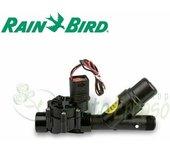 RAIN BIRD ICZ-075 tbos - Kit de control de la zona, con solenoide de enganche de 3/4'