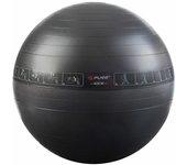 Pelotas de fitness Pure2Improve 65cm