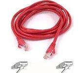 Cable de Red BELKIN (RJ45)