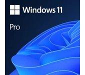 windows pro 11 32 64bit alll esd