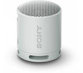 Altavoz Sony SRSXB100L