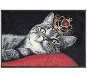 Felpudo royal cat 50x75 negro