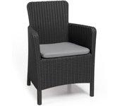 Sillon Trenton Grafito 226453