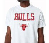 Camiseta Chicago Bulls Team Logo NEW ERA