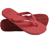 Chanclas para Hombre SUPERDRY (M - Multicolor)