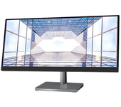 Monitor Lenovo L29W-30 73,66 cm - 29"