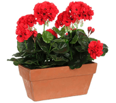 Planta artificial geranio rojo 29 cm de altura