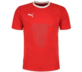 Puma Camiseta De Manga Corta Teamliga