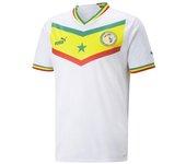 Camiseta de fútbol senegal