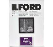 Ilford 1 x 25 MG RC DL 44M 18 x 24