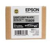 Epson Cartucho T580900 gris claro