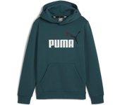 Sudadera Puma 586987 08