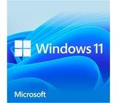 Windows 11 Home 1 licencia(s), Software