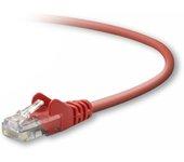 Cable de Red BELKIN (RJ45)