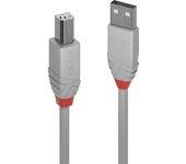 Cable USB LINDY (USB - USB)