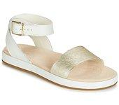 Sandalias Clarks  BOTANIC IVY