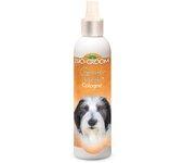 0.236 L Bio-Groom N'fresh Agua de Colonia para perros