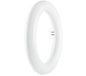 Tubo LED Circular (20 W, 3 cm, Blanco frío, 1.200 lm)