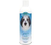 CHAMPÚ Groom'n Fresh, para perros, limpieza intensa, ideal para ejemplares muy sucios, envase de 355 ml