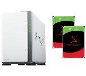 Synology DiskStation DS223j NAS + 2x Discos Duros 10TB Seagate IronWolf