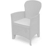 Sillon resina folia blanco + cojin