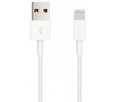 Cable Lightning A USB 2m