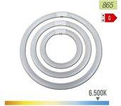 Lámpara Fluorescente PHILIPS Master TL-E Circular 22W G10Q Luz fria B