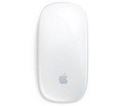 magic mouse