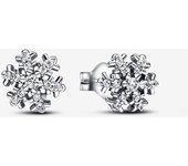 Pendientes Pandora 299239C01